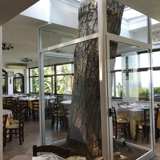 La Pigna -