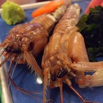 魚丸食堂 - シャコ