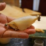 初音鮨 - 大原の黒アワビ