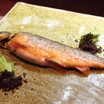 セルサルサーレ - 