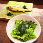 セルサルサーレ - 