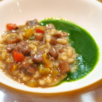 セルサルサーレ - 