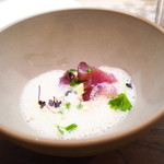 セルサルサーレ - 