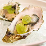 セルサルサーレ - 