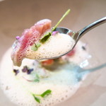 セルサルサーレ - 