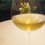 レフェルヴェソンス - Van Vaolxen