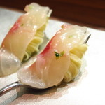 セルサルサーレ - 