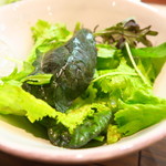 セルサルサーレ - 