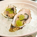 セルサルサーレ - 