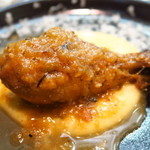 セルサルサーレ - 