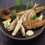 ひもの屋のおすすめ盛り