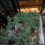 旅庵　花月 - 旅館