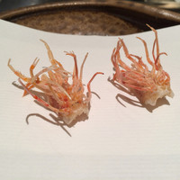 天ぷら 銀座おのでら 並木通り店 - 海老の足