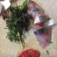 recte - 今治産　鯵とトマト