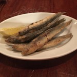 オシノ - シコイワシ、もっといっぱいがいいな