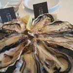 ガンボ＆オイスターバー ミント神戸店 - 大きくて食べ応えあり