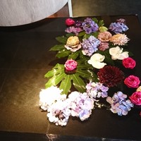ヒカリヤ ニシ - 
