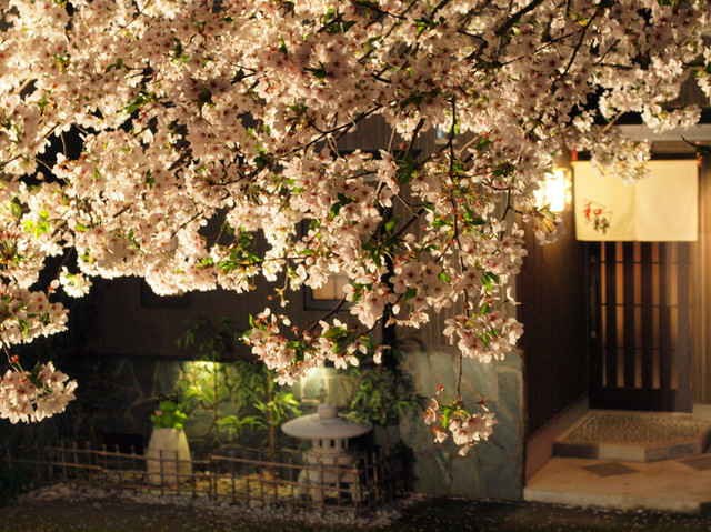 はるよし和粋 - 野沢（居酒屋）の写真