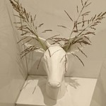 オルト - トイレの中のオブジェ