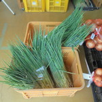 農産物直売所 こだま館 - 苗