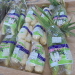 農産物直売所 こだま館 - 買いました！