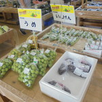 農産物直売所 こだま館 - 梅の時期