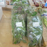 農産物直売所 こだま館 - シソ