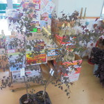 農産物直売所 こだま館 - 苗