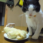 農産物直売所 こだま館 - 猫まっしぐら