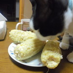 農産物直売所 こだま館 - まだ食べます