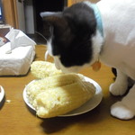 農産物直売所 こだま館 - おいしかった？