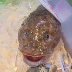 本庄鮮魚センター - カワイイ