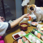 本庄鮮魚センター - 猫まっしぐら