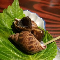 野口太郎 - 