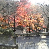 修伯 - 