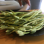 エッサンシエル - アスパラソバージュ