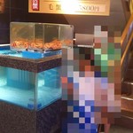 福山甲羅本店 - 本日の活蟹(2017.06.11)