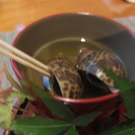 Kakurega Awai - バイ貝の煮付け　しゅっつる風味