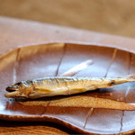 柳家 - 郡上鮎の丸干し