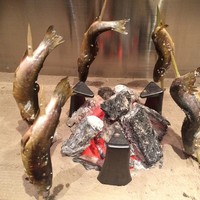 銀座方舟 大吟醸いろり店 - 岩魚囲炉裏焼き