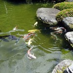 う奈ぎ道場 同源亭 - 