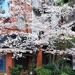 スナック　ウエスタン - 