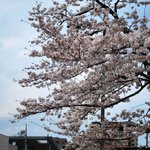 スナック　ウエスタン - 