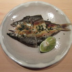 鮨 さかい - 長良川郡上八幡 天龍鮎