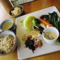閉店 野菜畑 表参道 ダイニングバー 食べログ 閉店 野菜畑 表参道 ダイニングバー 食べログ
