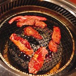 ぴこぴこ精肉店 - 