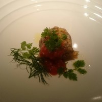 ecco - 