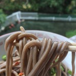 池内うどん店 - (*・ω・)(*-ω-)(*・ω・)(*-ω-)ウンウン♪やっぱ美味いっ( *´艸｀)