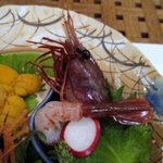 活カニの花咲 - 