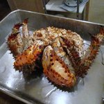 活カニの花咲 - 